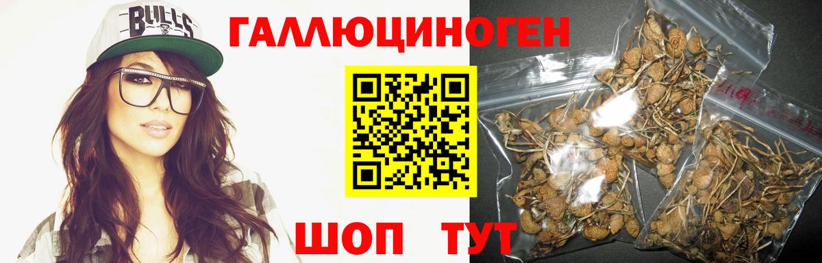 Галлюциногенные грибы Psilocybine cubensis  Вход с VPN  Ачинск 